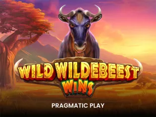 Wild Wildebeest Wins screenshot