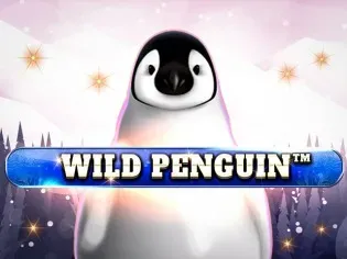 Wild Penguin screenshot